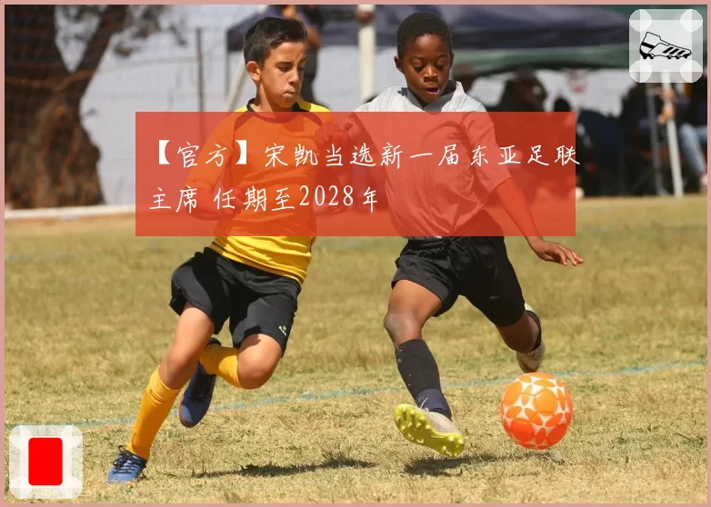 【官方】宋凯当选新一届东亚足联主席 任期至2028年