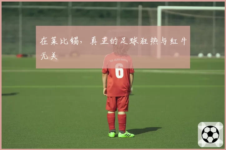 在莱比锡，真正的足球狂热与红牛无关