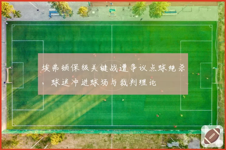 埃弗顿保级关键战遭争议点球绝杀，球迷冲进球场与裁判理论
