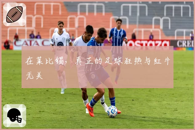 在莱比锡，真正的足球狂热与红牛无关