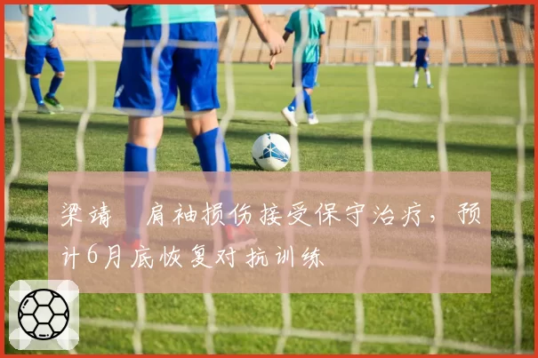 梁靖崑肩袖损伤接受保守治疗，预计6月底恢复对抗训练